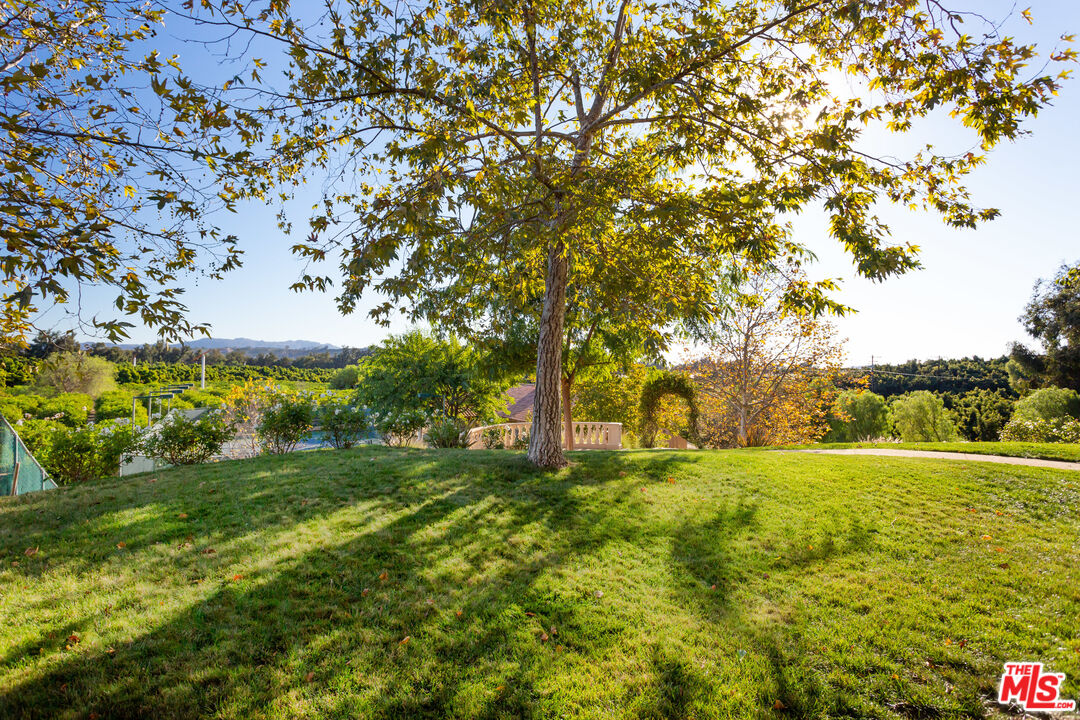 9269 Stockton Road Moorpark, CA 93021 - Photo 43 of 46 a view of large trees with a big yard