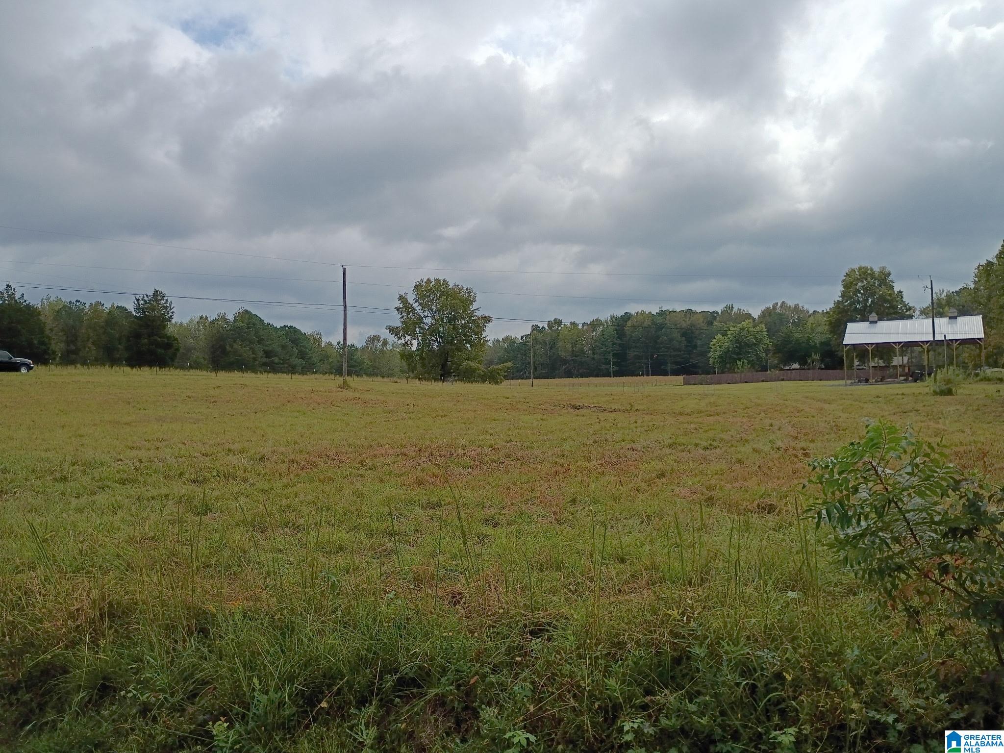 0 Sitton Road Hayden, AL 35079 - Photo 3 of 3