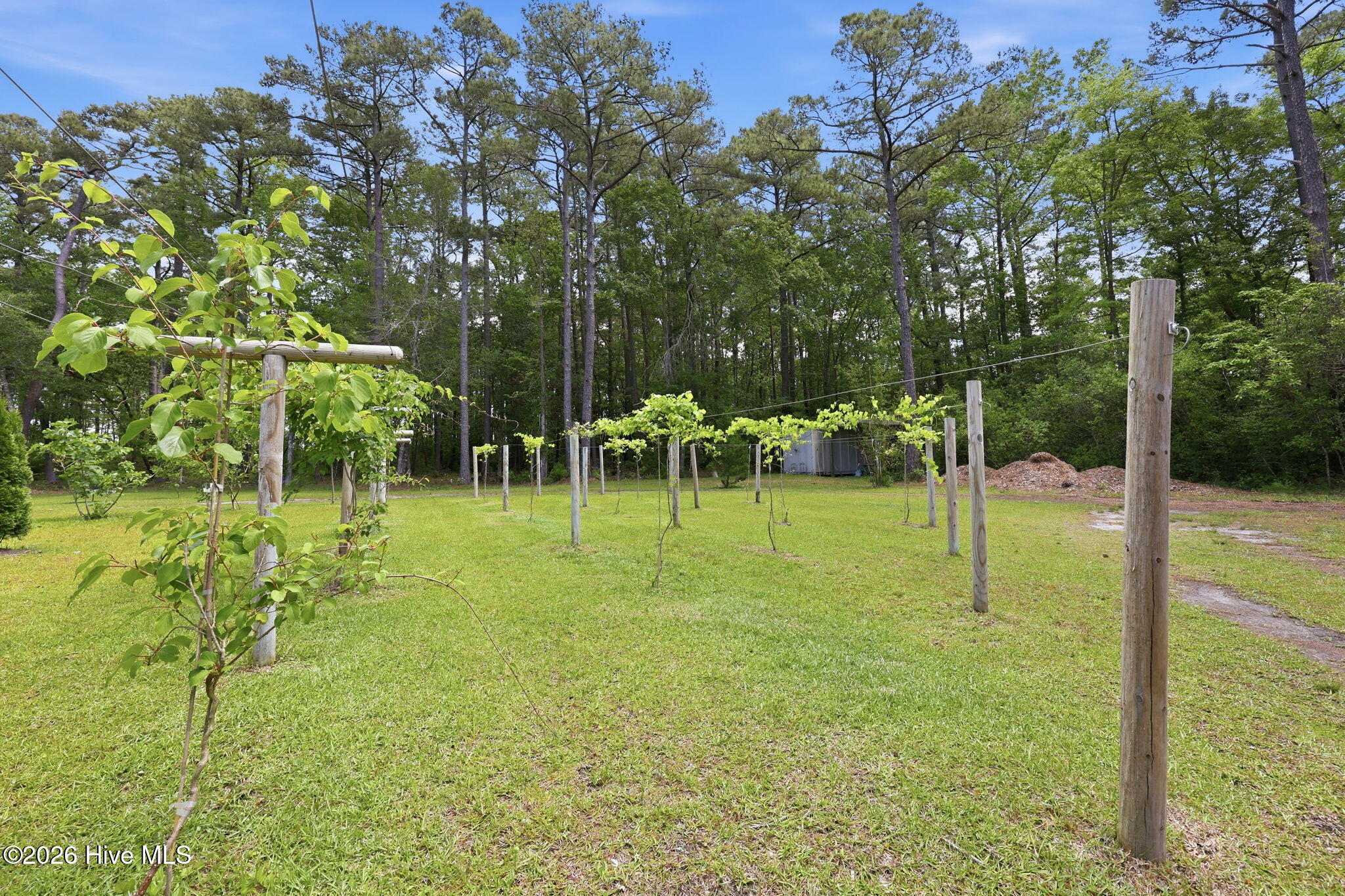 307 Crows Nest Road Beaufort, NC 28516 - Photo 37 of 50 9-web-or-mls-307 Crows Nest Rd 009