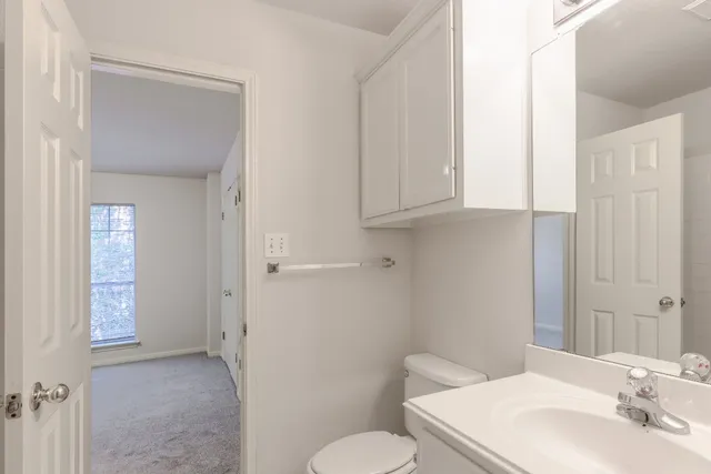 a bathroom with a sink and a toilet