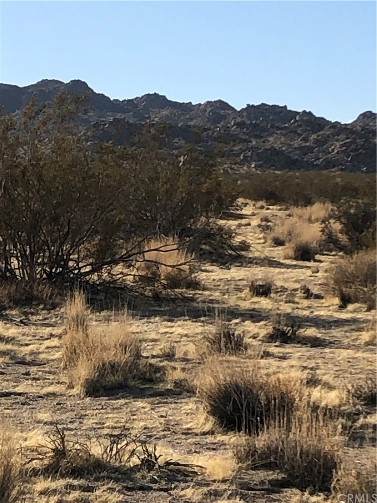 64647 Foothill Drive Joshua Tree, CA 92252 - Photo 1 of 1