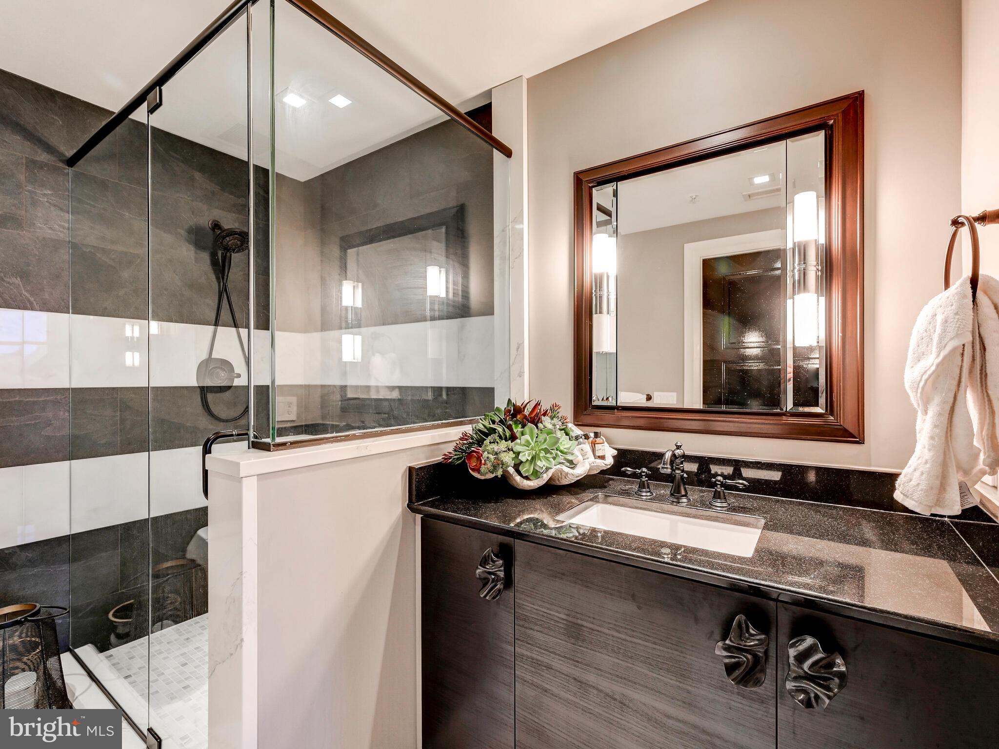 801 Key Highway, Unit P54 Baltimore, MD 21230 - Photo 50 of 81 a bathroom with a sink and a mirror