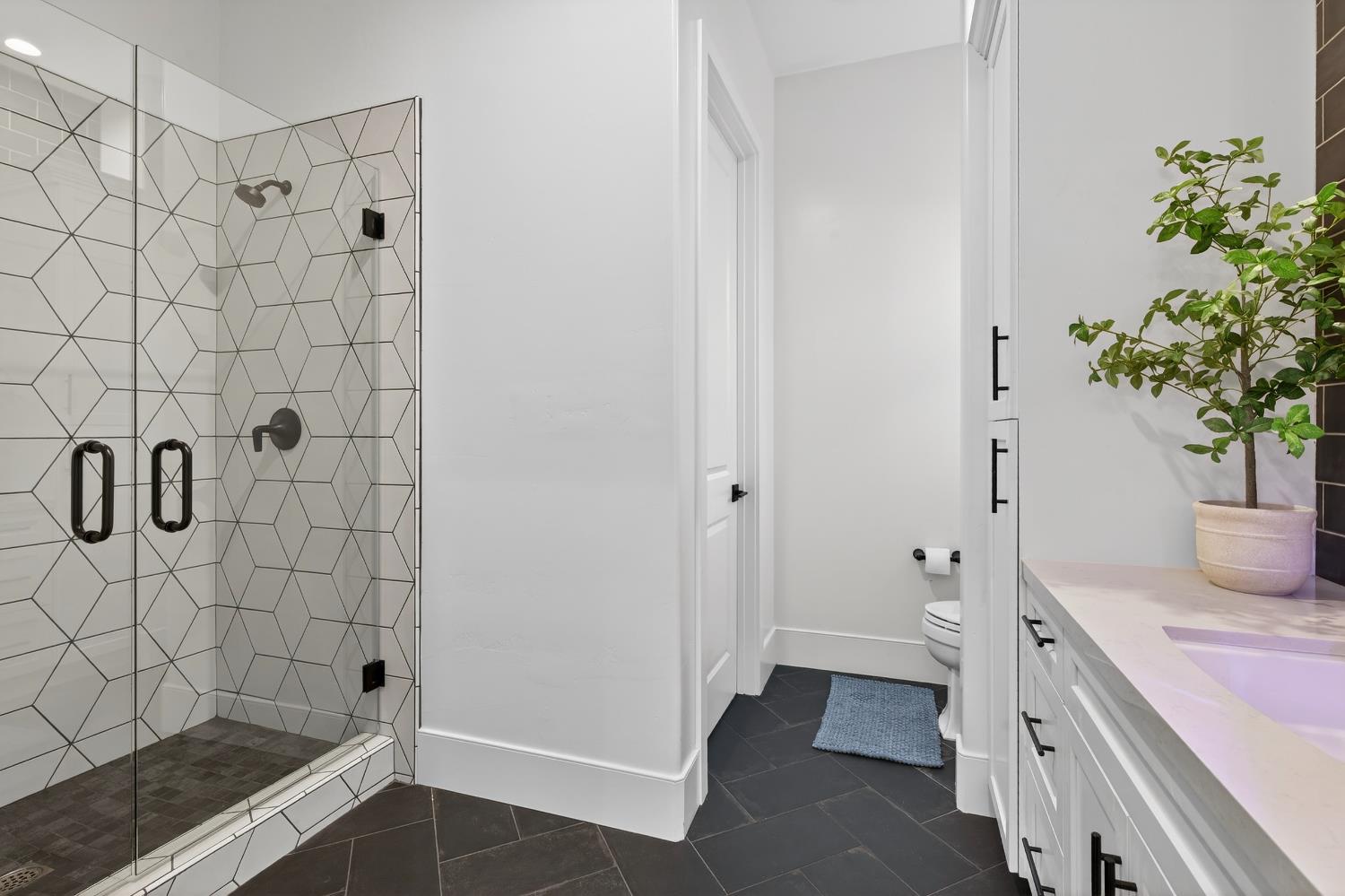 61 Secret Court Lodi, CA 95242 - Photo 48 of 79 a bathroom with a shower and a sink