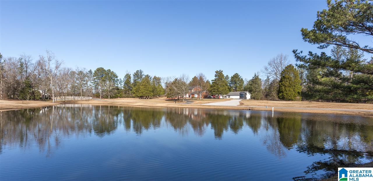 281 Hidden Hills Road Jacksonville, AL 36265 - Photo 46 of 50
