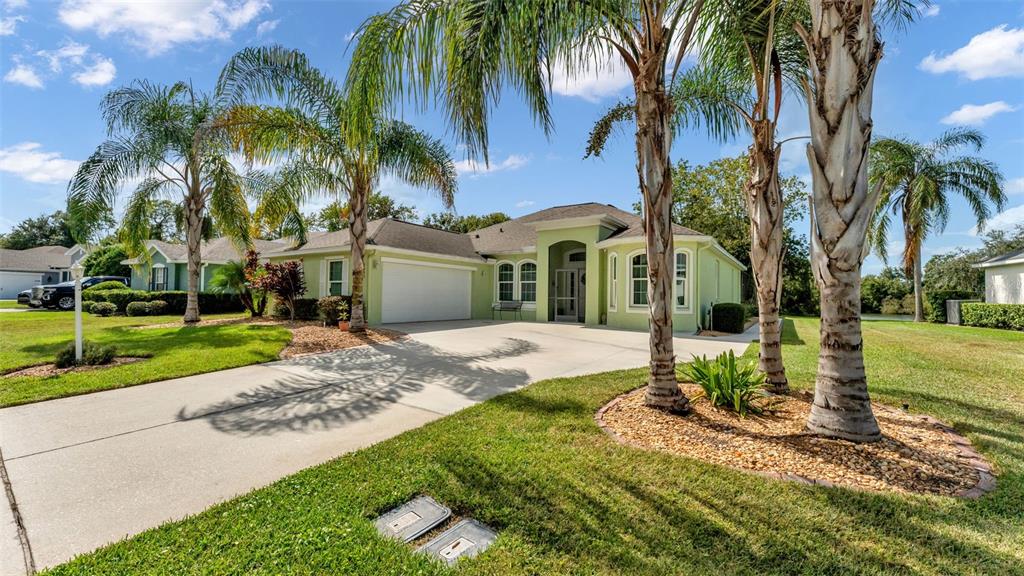 a view of a yard with a palm trees