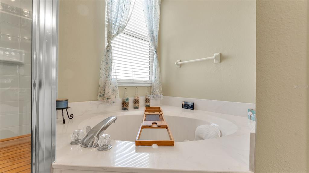 2803 Spring Meadow Drive Plant City, FL 33566 - Photo 32 of 74 a bath tub sitting in a bathroom next to a window