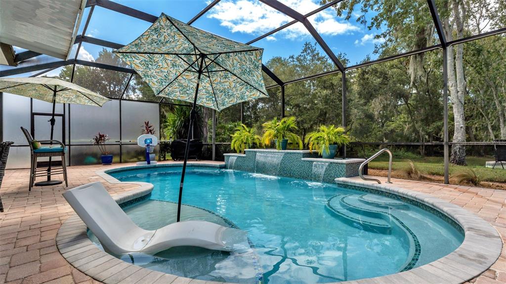 2803 Spring Meadow Drive Plant City, FL 33566 - Photo 54 of 74 a view of a swimming pool with a couches chairs and a fire pit