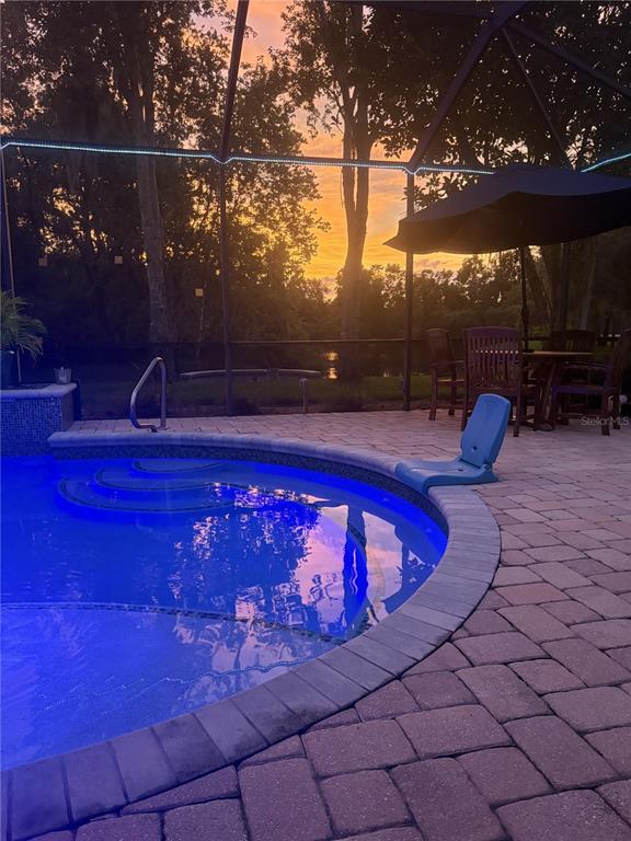 2803 Spring Meadow Drive Plant City, FL 33566 - Photo 57 of 74