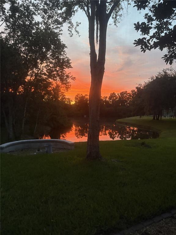 2803 Spring Meadow Drive Plant City, FL 33566 - Photo 59 of 74