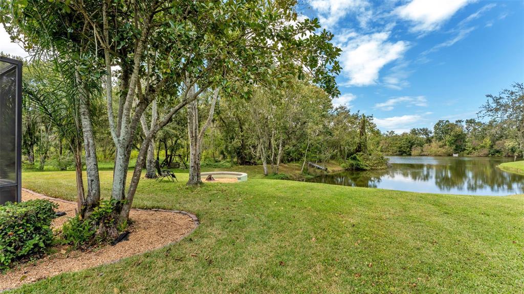 2803 Spring Meadow Drive Plant City, FL 33566 - Photo 60 of 74 a backyard of a house with lots of green space and lake view