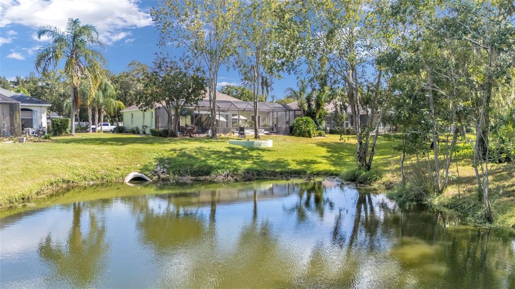 2803 Spring Meadow Drive Plant City, FL 33566 - Photo 65 of 74