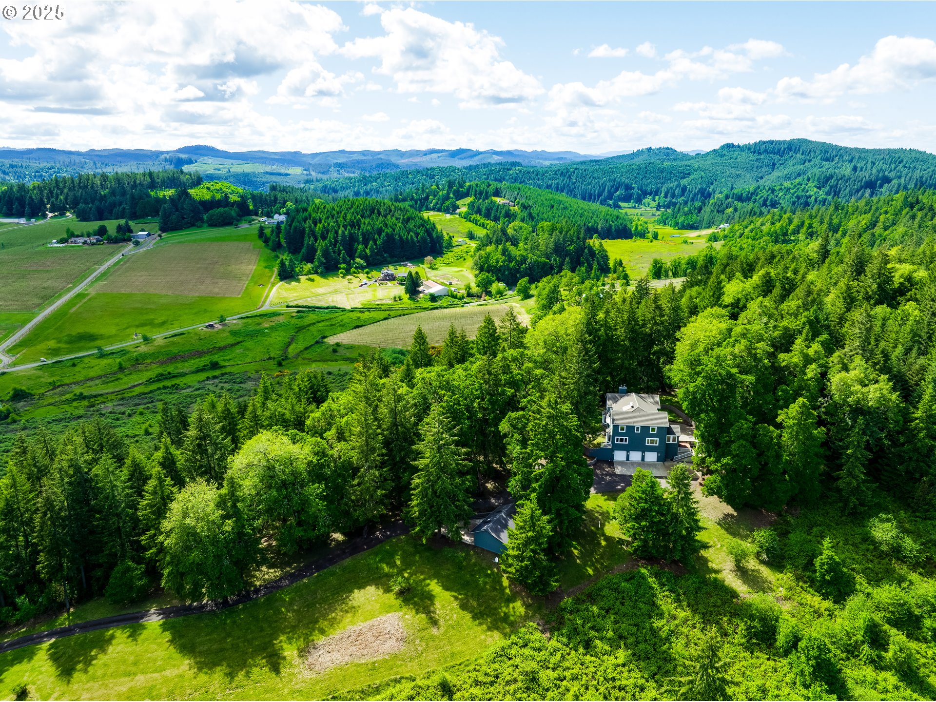 27161 Briggs Hill Road Eugene, OR 97405 - Photo 1 of 47 a view of a lush green forest with houses