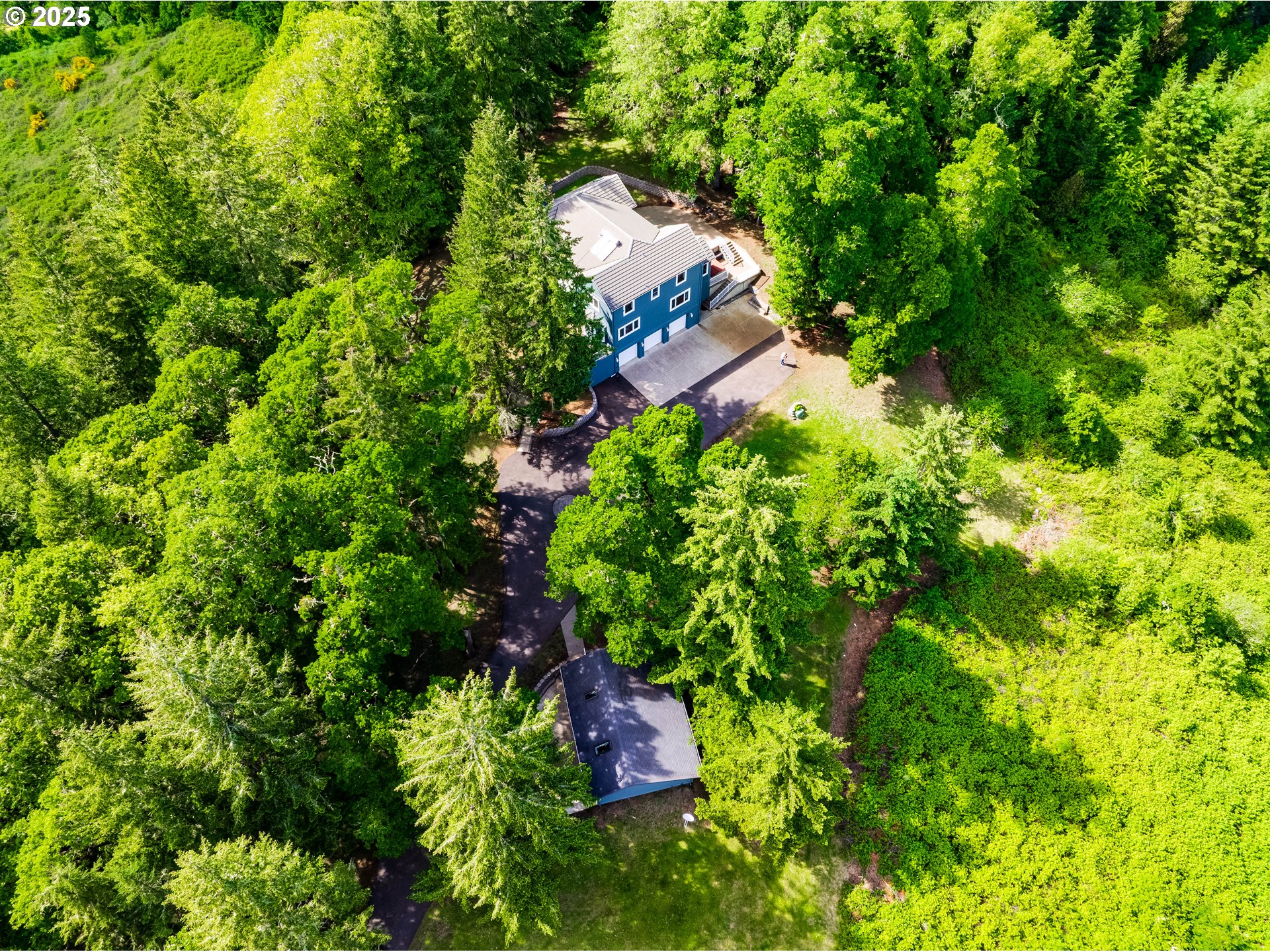 27161 Briggs Hill Road Eugene, OR 97405 - Photo 2 of 47 a picture of trees