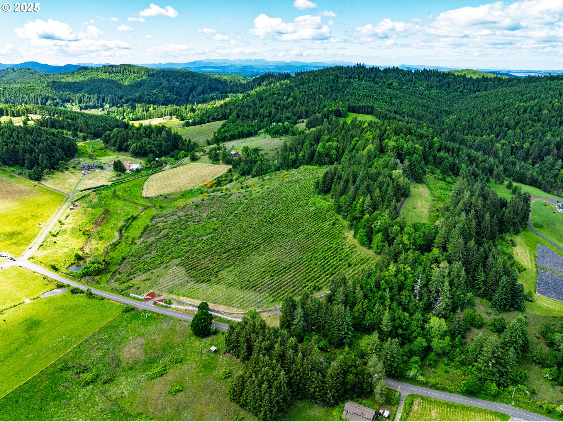 27161 Briggs Hill Road Eugene, OR 97405 - Photo 3 of 47 a view of a city