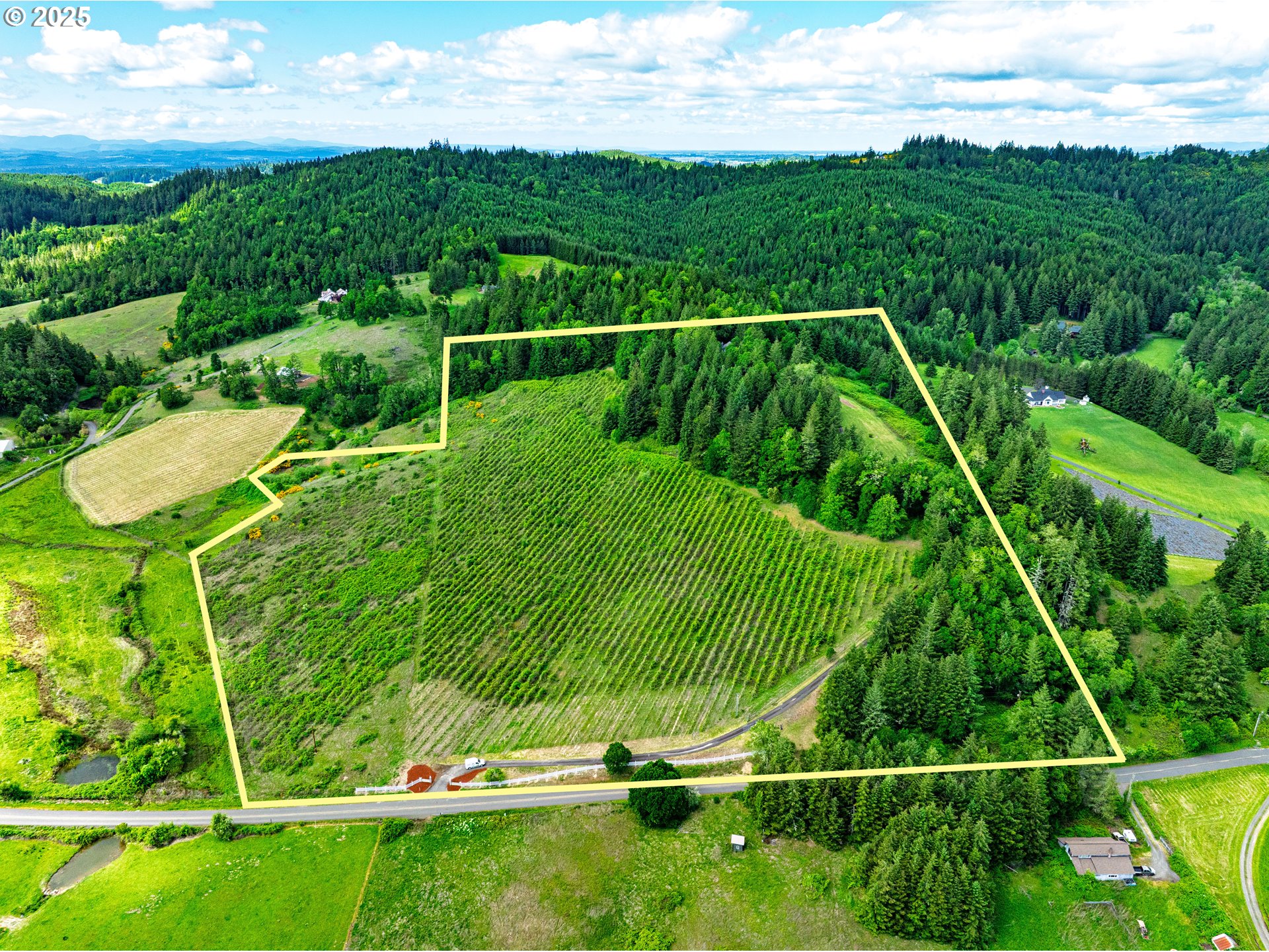 27161 Briggs Hill Road Eugene, OR 97405 - Photo 46 of 47