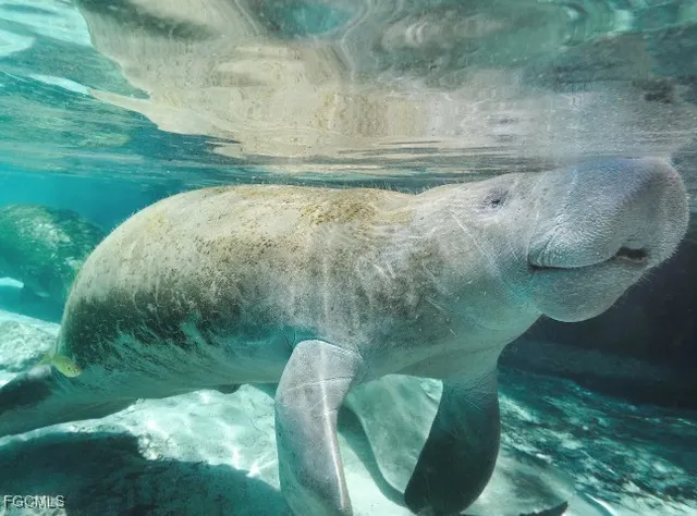 $374,900 | 2059 South Montana Circle, LaBelle, FL 33935