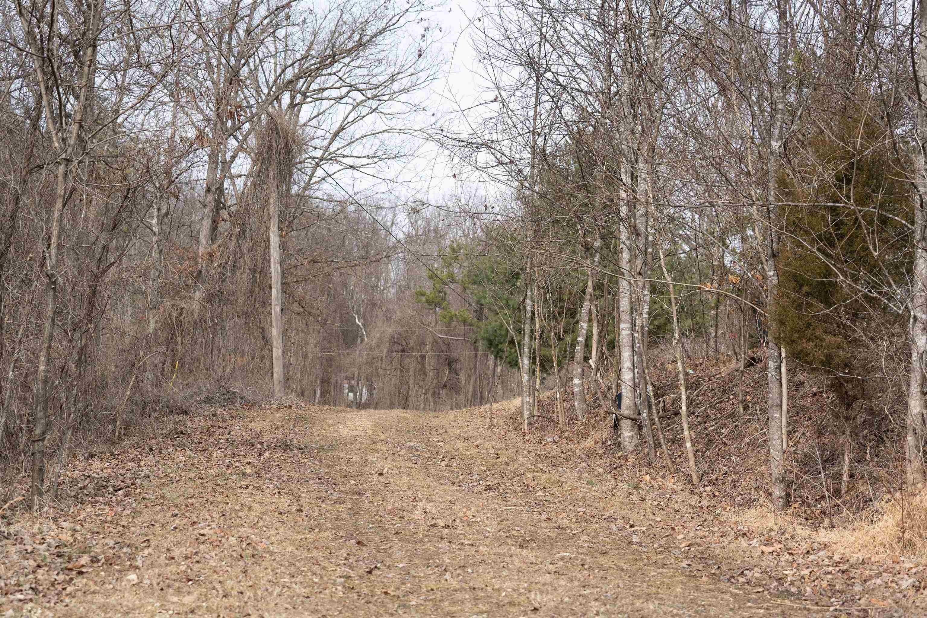 1717 Aaron Ridge Road Louisa, KY 41230 - Photo 11 of 12
