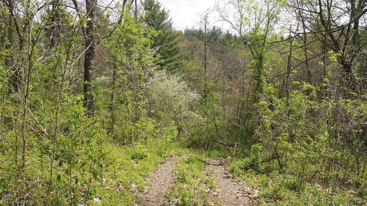 Mt Hope Ridge Road Graysville, OH 45734 - Photo 5 of 21 Gallery Image 5