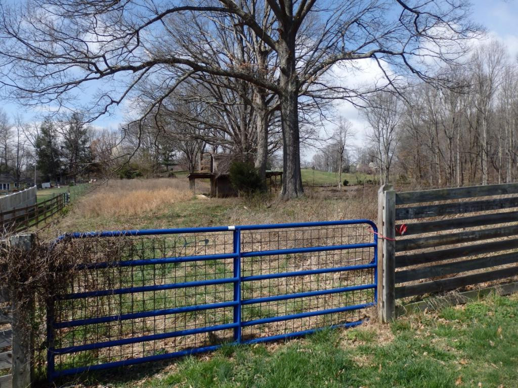 131 Unaka View Road Johnson City, TN 37601 - Photo 12 of 12 Photo 12