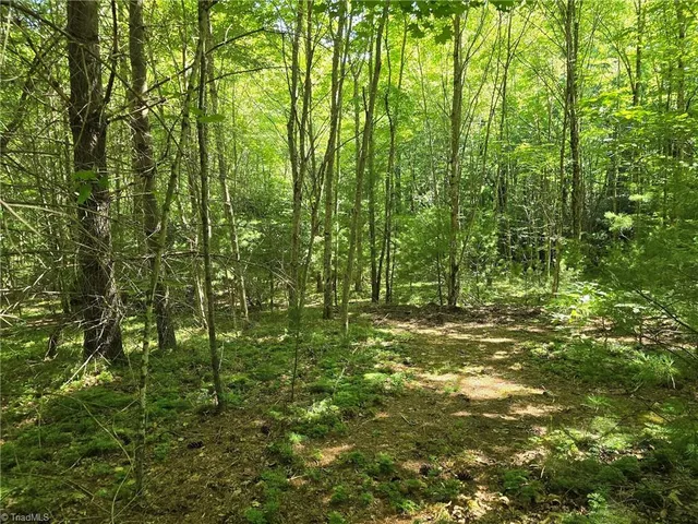 $46,000 | 50 Deer Spring Lane, West Jefferson, NC 28694