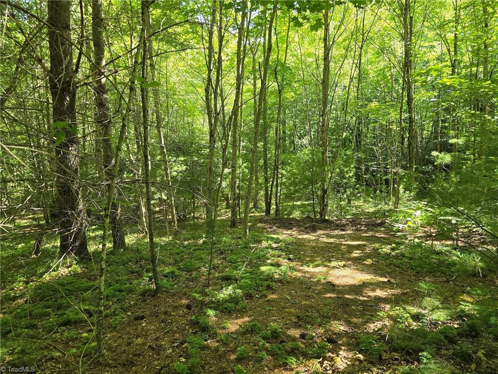 50 Deer Spring Lane West Jefferson, NC 28694 - Photo 2 of 8