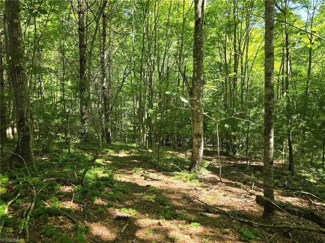 $46,000 | 50 Deer Spring Lane, West Jefferson, NC 28694