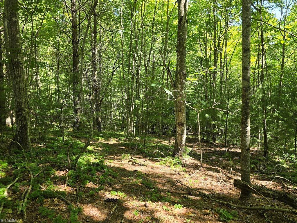 50 Deer Spring Lane West Jefferson, NC 28694 - Photo 3 of 8