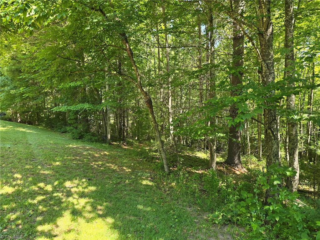 50 Deer Spring Lane West Jefferson, NC 28694 - Photo 5 of 8