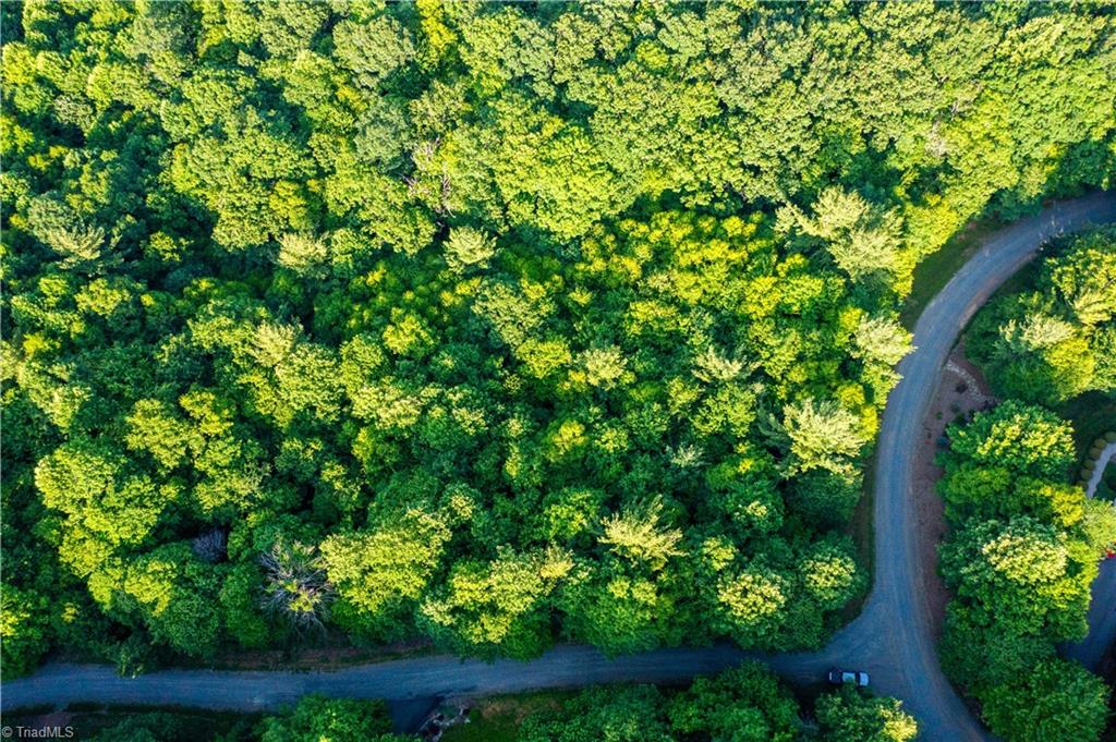 50 Deer Spring Lane West Jefferson, NC 28694 - Photo 8 of 8