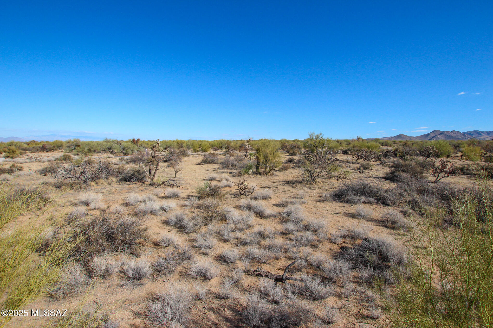15949 West Diamond Bell Ranch Road, Unit 8 Tucson, AZ 85736 - Photo 6 of 6