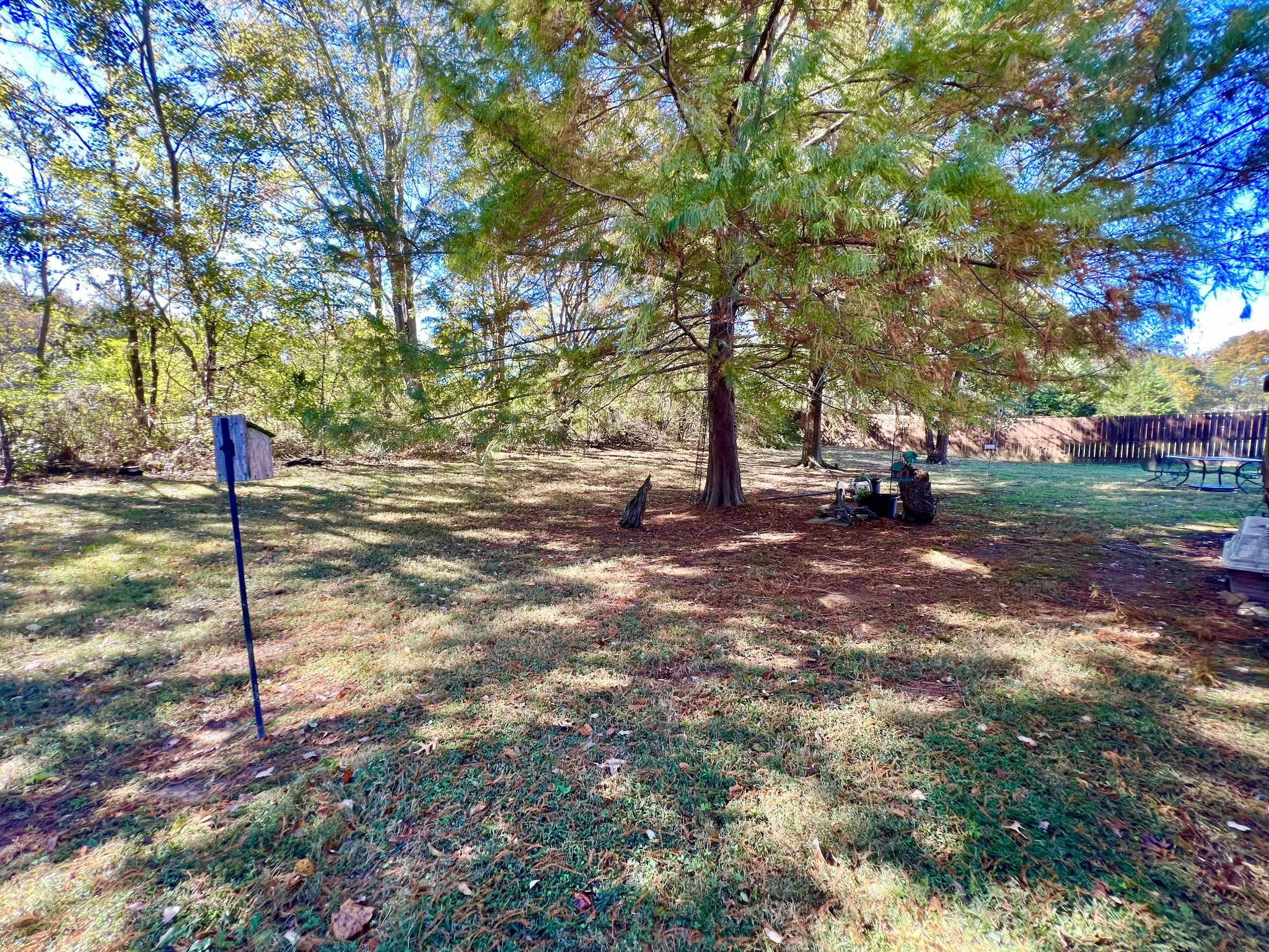291 Bailey Lane Pleasant View, TN 37146 - Photo 35 of 37 a backyard of a house with a tree