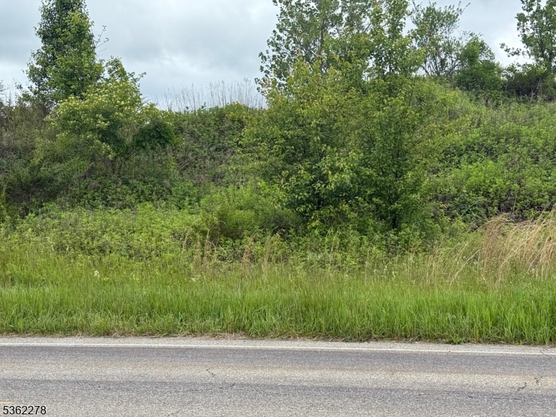 142 Wheatsworth Road Hamburg, NJ 07419 - Photo 2 of 3 a view of a yard