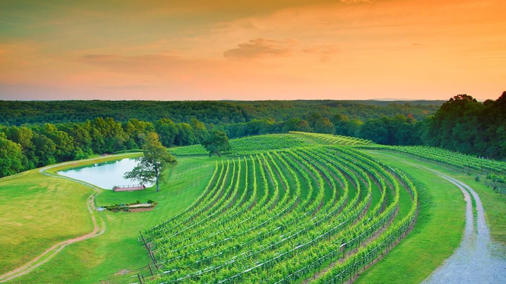 58 Rustin Ridge Dahlonega, GA 30533 - Photo 42 of 44