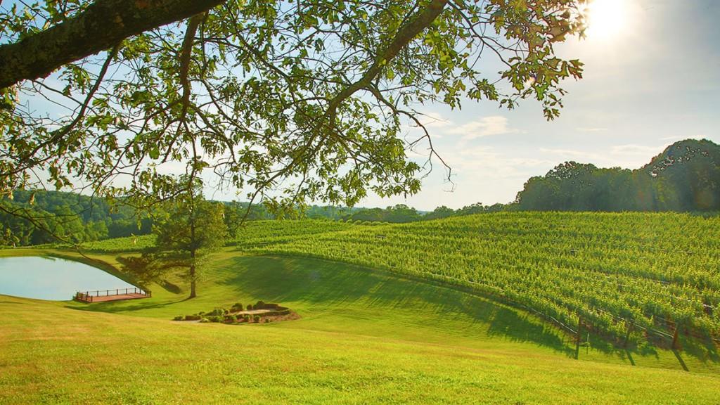 58 Rustin Ridge Dahlonega, GA 30533 - Photo 43 of 44