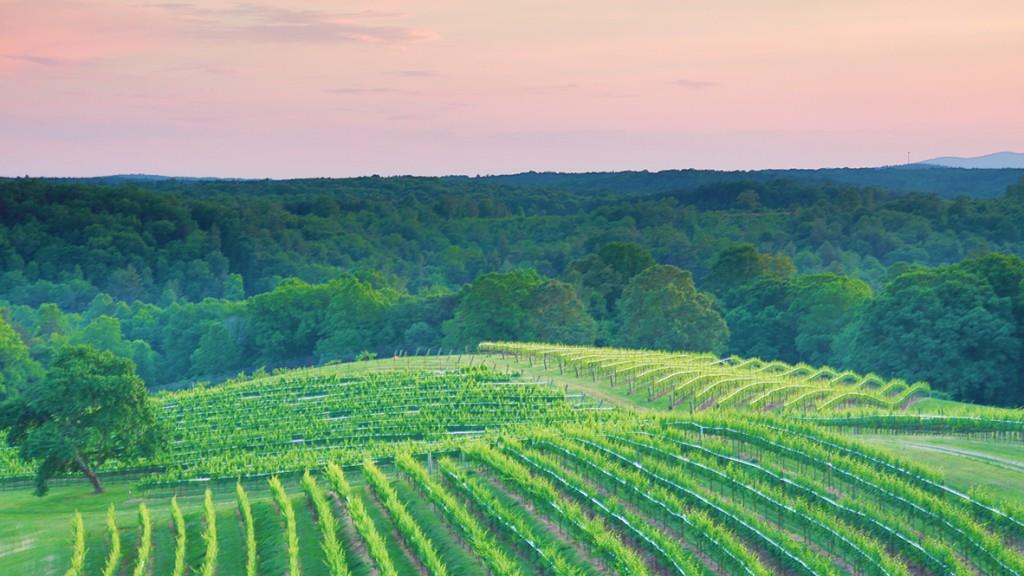 58 Rustin Ridge Dahlonega, GA 30533 - Photo 44 of 44