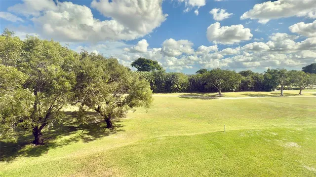 a view of lawn chairs and tree