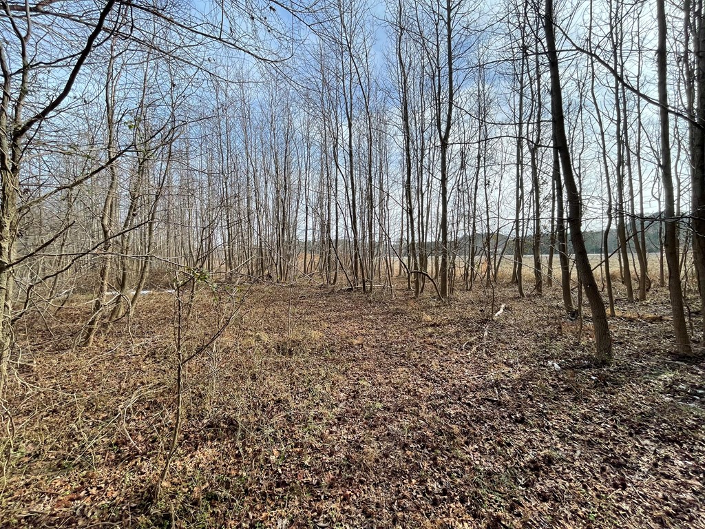3.65 Old Neck Road, Unit 1 Weems, VA 22576 - Photo 15 of 35