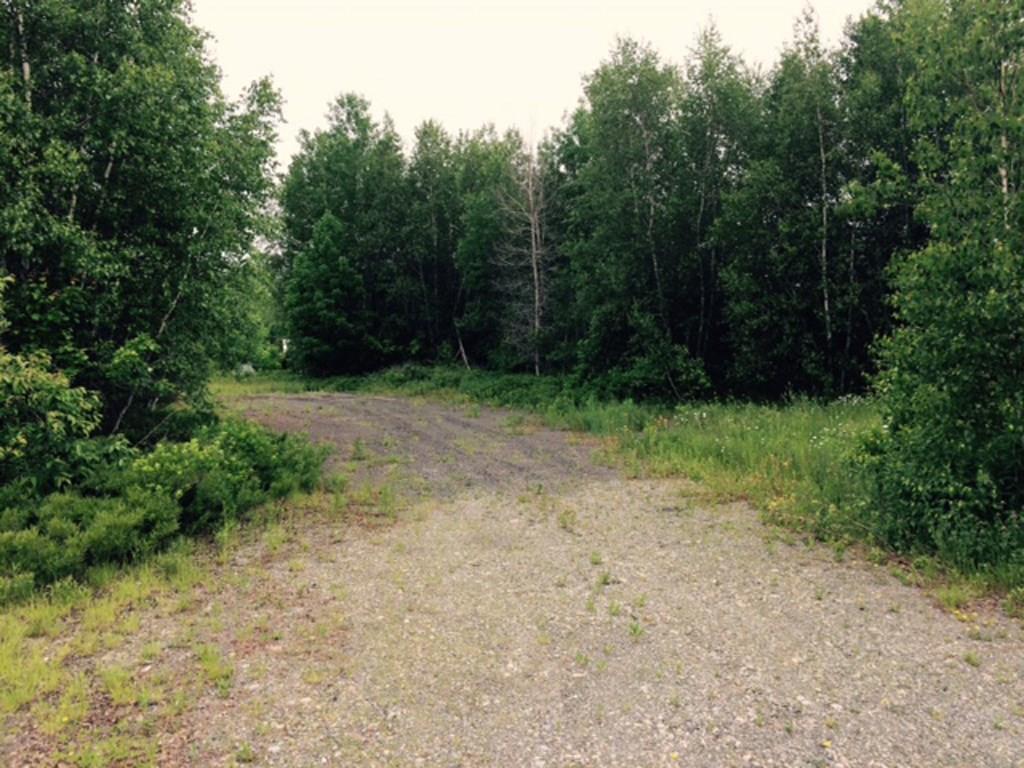 957 Lakewood Road Madison, ME 04950 - Photo 3 of 8 Driveway
