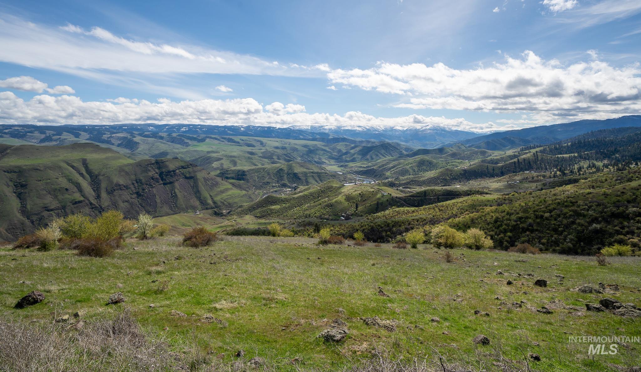 165 Mountain Vw Road White Bird, ID 83554 - Photo 12 of 15