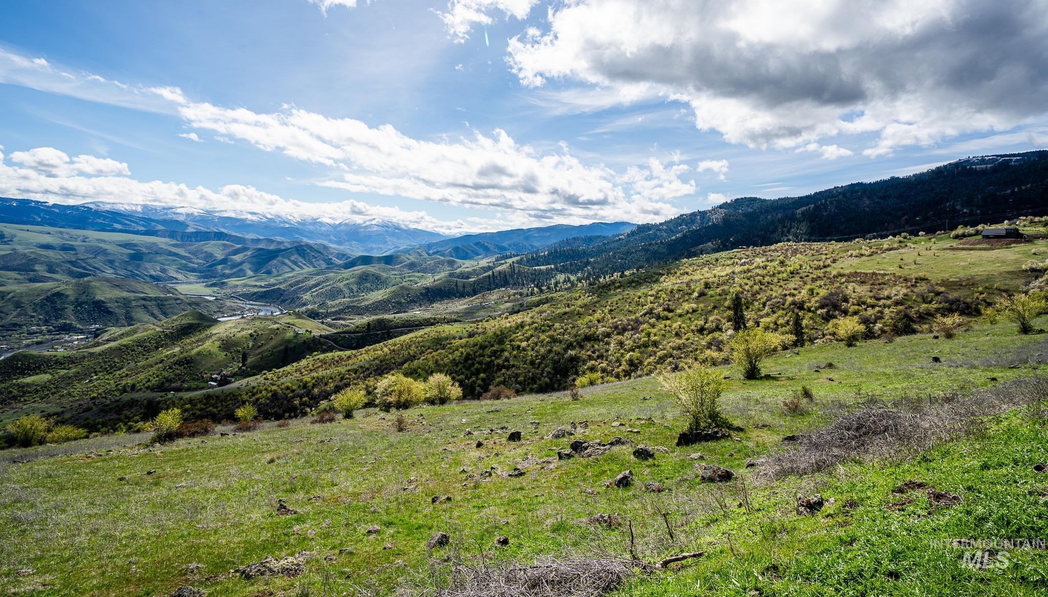 165 Mountain Vw Road White Bird, ID 83554 - Photo 13 of 15