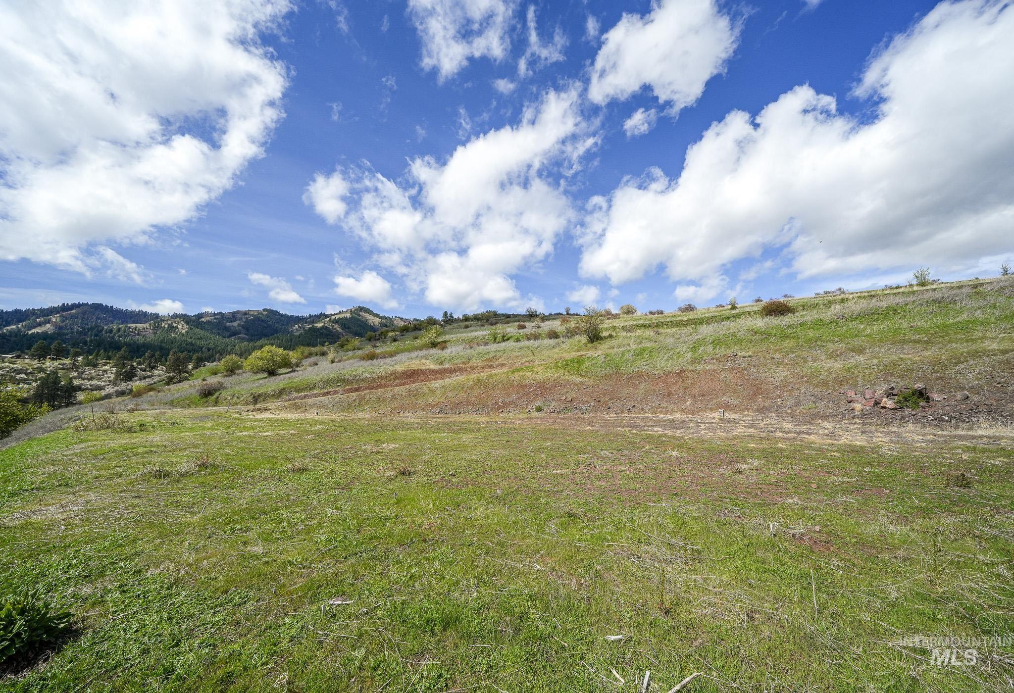 165 Mountain Vw Road White Bird, ID 83554 - Photo 14 of 15