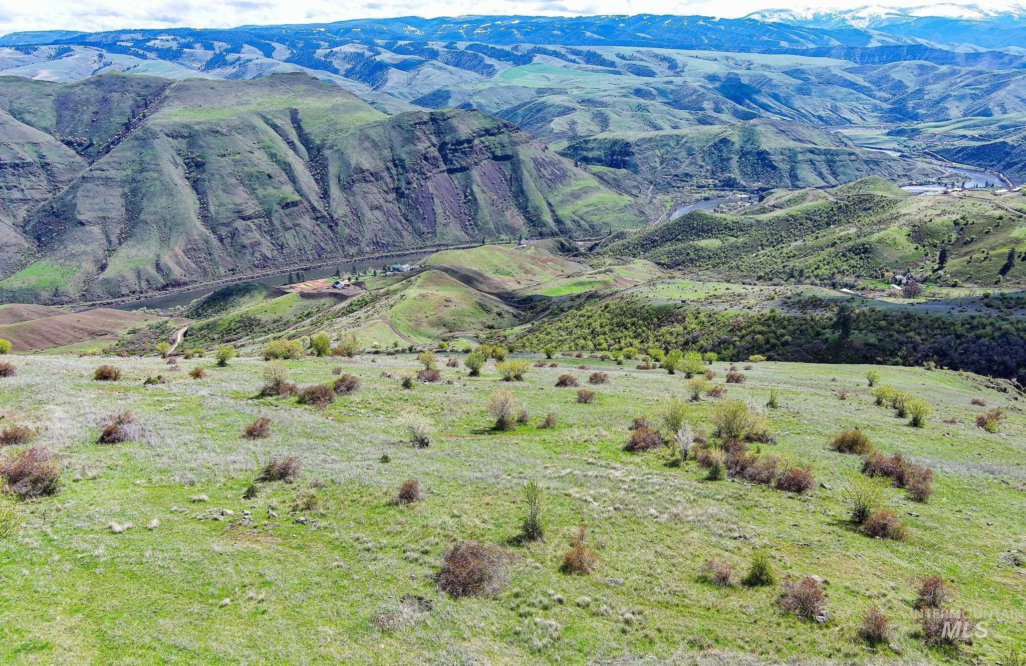165 Mountain Vw Road White Bird, ID 83554 - Photo 4 of 15