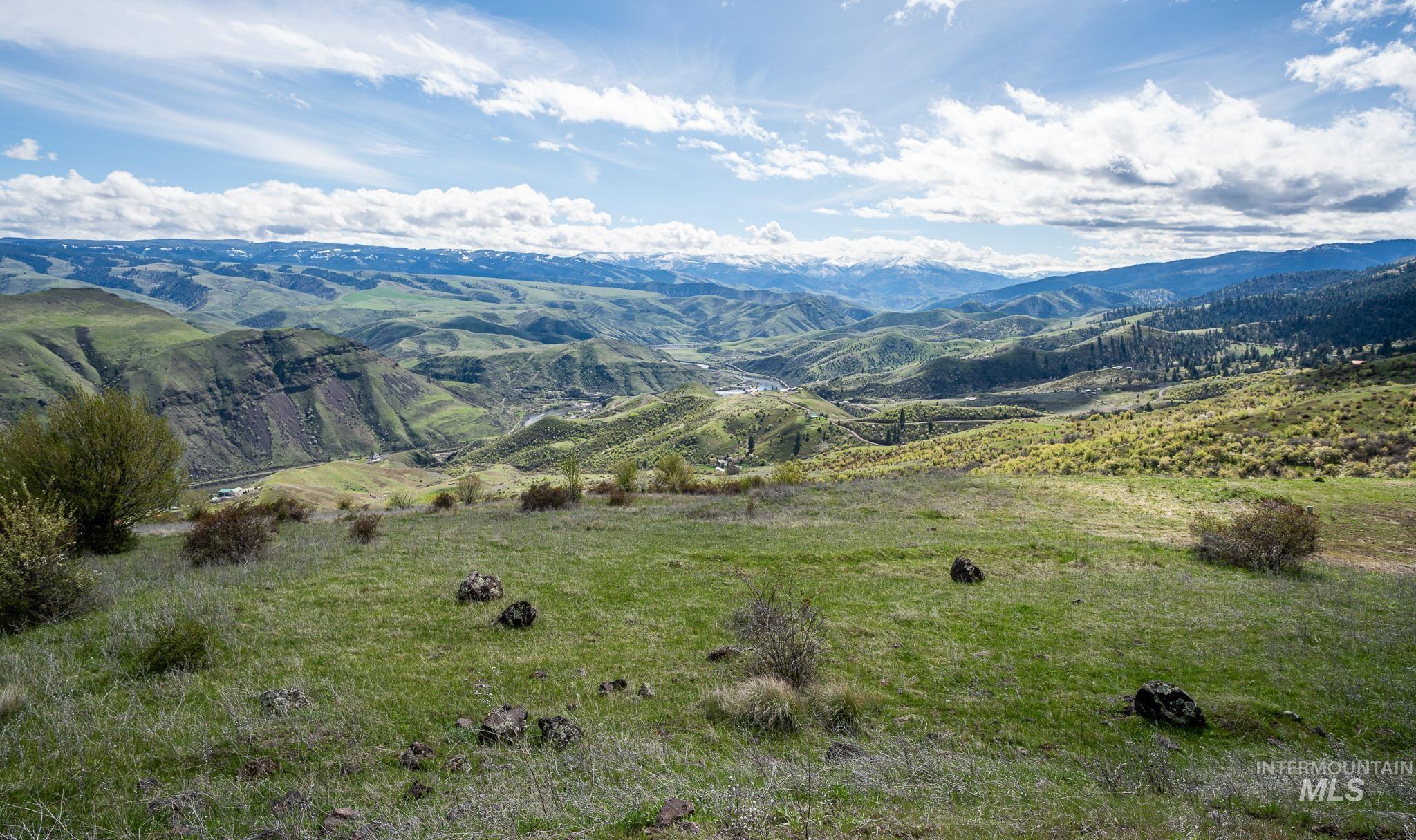 165 Mountain Vw Road White Bird, ID 83554 - Photo 8 of 15