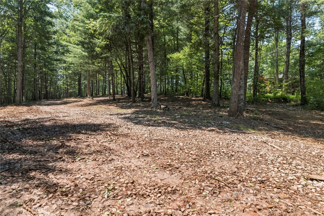 423 Verner Mill Road Mountain Rest, SC 29664 - Photo 11 of 20