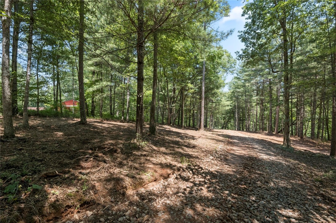 423 Verner Mill Road Mountain Rest, SC 29664 - Photo 12 of 20