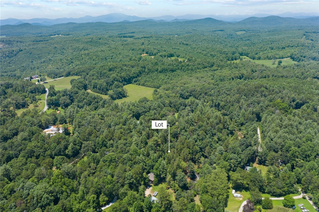 423 Verner Mill Road Mountain Rest, SC 29664 - Photo 19 of 20