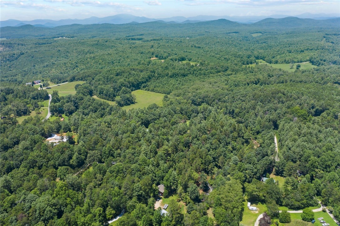 423 Verner Mill Road Mountain Rest, SC 29664 - Photo 20 of 20