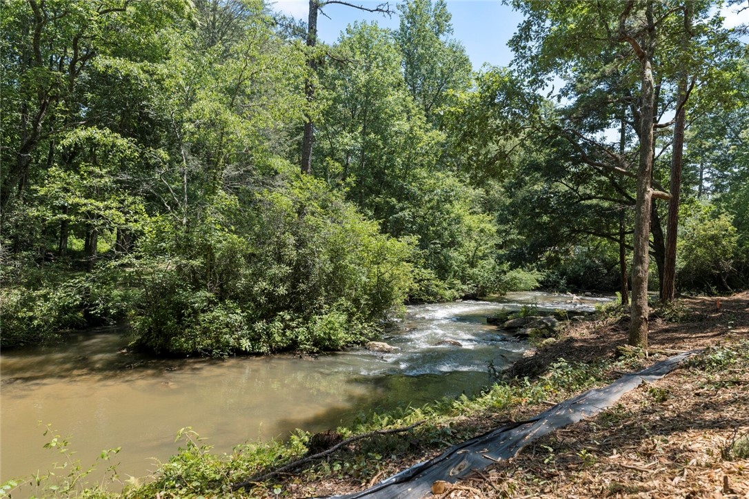 423 Verner Mill Road Mountain Rest, SC 29664 - Photo 4 of 20