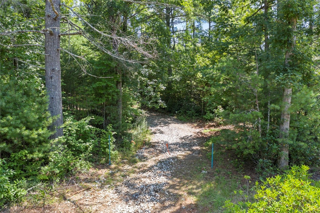 423 Verner Mill Road Mountain Rest, SC 29664 - Photo 5 of 20