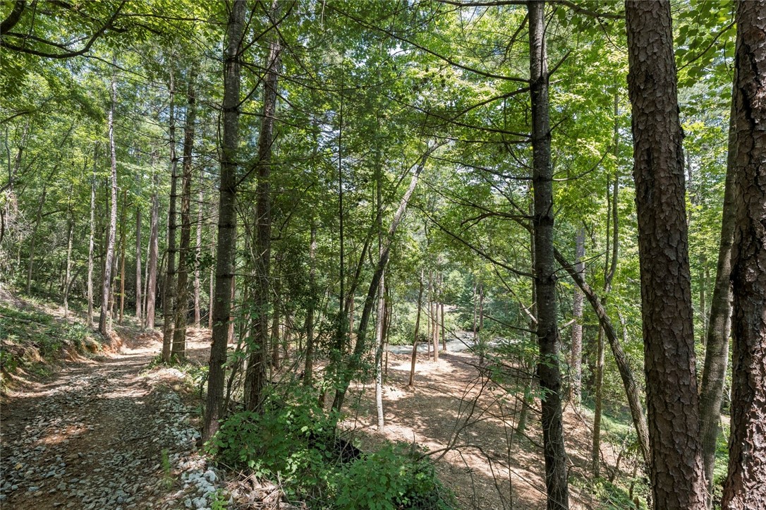 423 Verner Mill Road Mountain Rest, SC 29664 - Photo 6 of 20